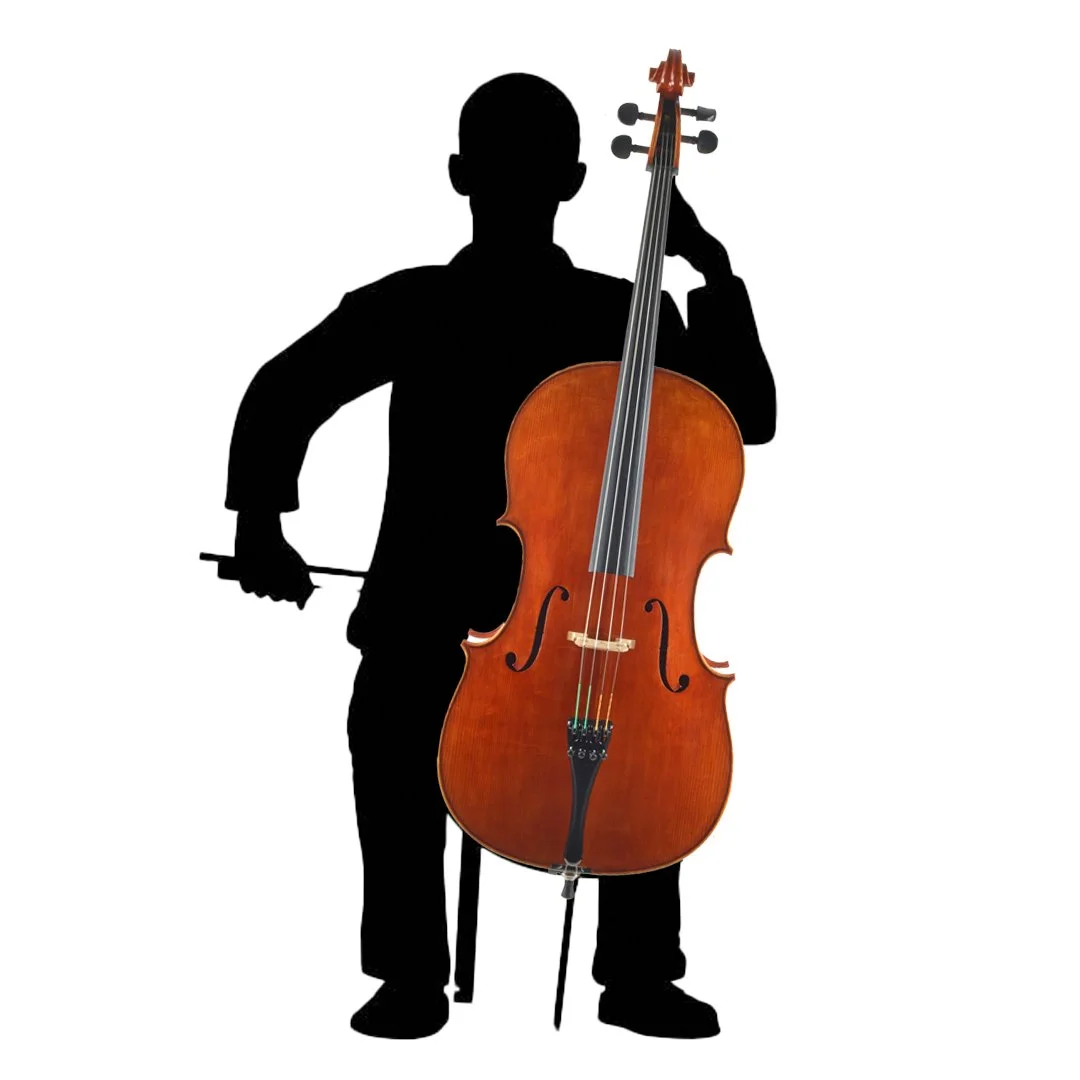 Maple Leaf Strings MLS120C Cello — Doo Wop Shop